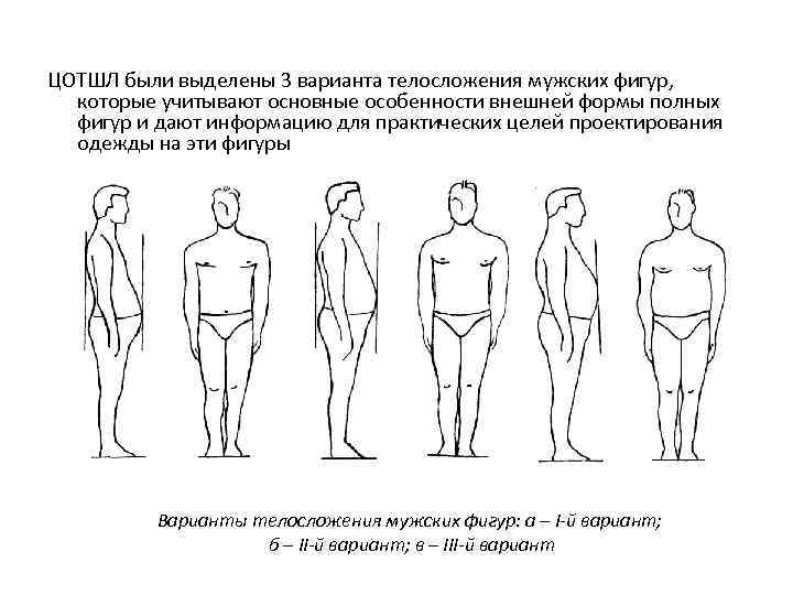 Виды мужчин. Классификация мужских фигур. Типы телосложения у мужчин. Мужские фигуры типы и формы. Тип мужской фигуры по параметрам.