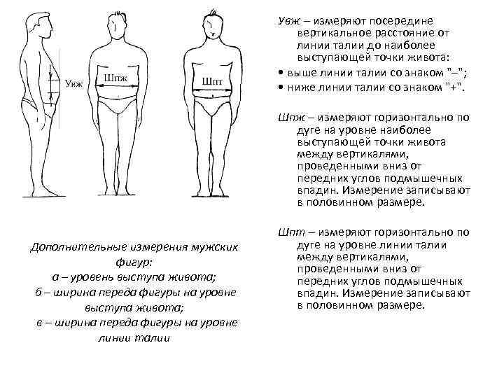 Вертикальное расстояние. Измерения мужской фигуры. Ширина переда на уровне живота. Расстояние от линии талии. Изменение измерения мужских фигур.