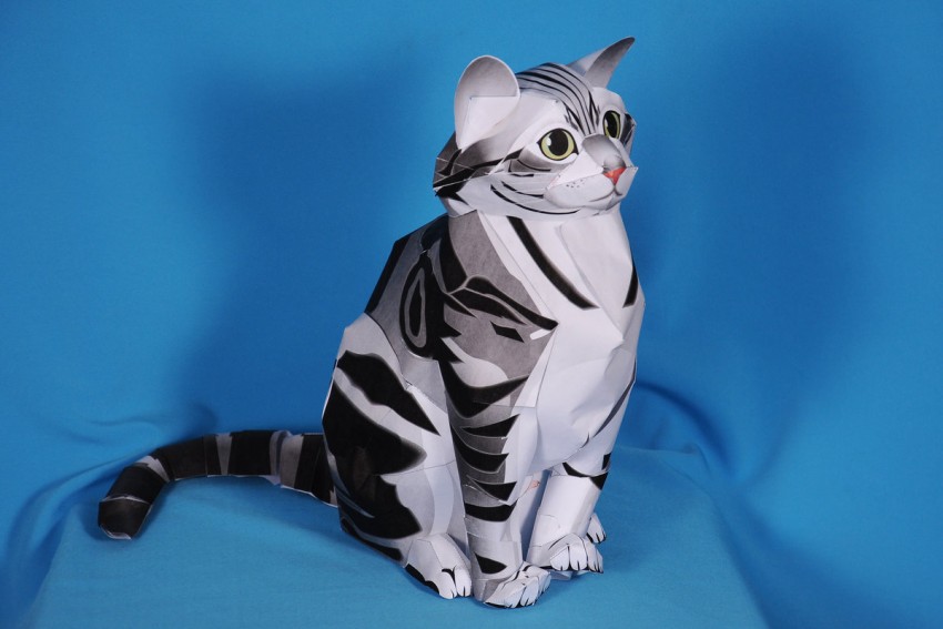 Объемная кошка из бумаги. Поделка кошка. Котик из бумаги. Поделка котенок из бумаги.