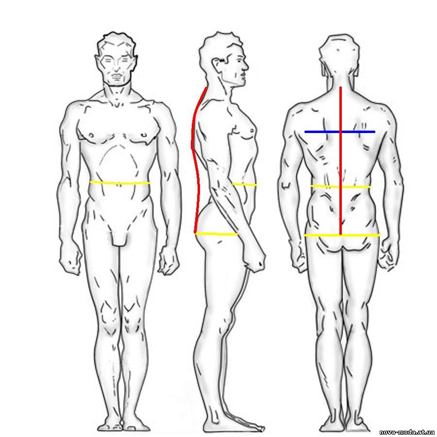 Видео мужская схема. Замеры тела для мужчин. Обмеры тела мужчины. Мужское тело рисунок для замеров. Мерки тела.